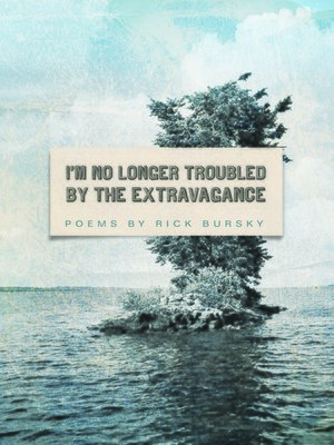 cover image of I'm No Longer Troubled by the Extravagance